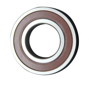 Genuine NSK 6313 Special Deep Groove Ball Bearing for High Speed Motor